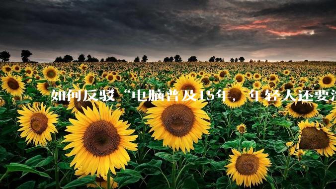 如何反驳“电脑普及15年，年轻人还要淘宝代装steam”?