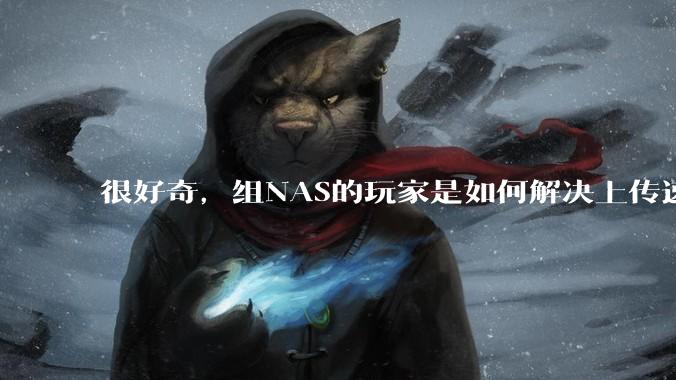 很好奇，组NAS的玩家是如何解决上传速率的问题?