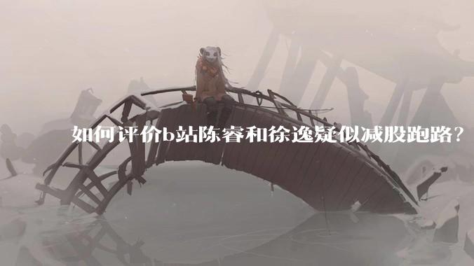 如何评价b站陈睿和徐逸疑似减股跑路？