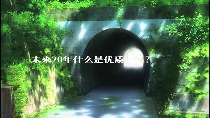 未来20年什么是优质资产？
