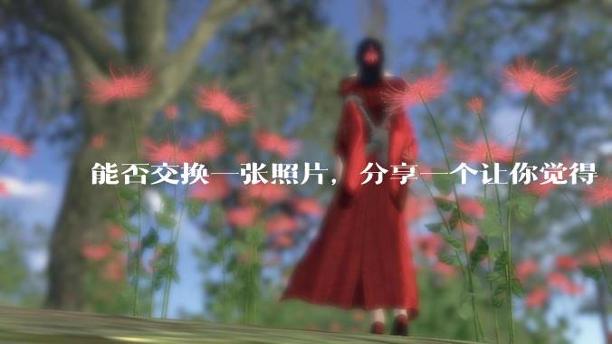 能否交换一张照片，分享一个让你觉得「仿佛回到了暑***」的瞬间？