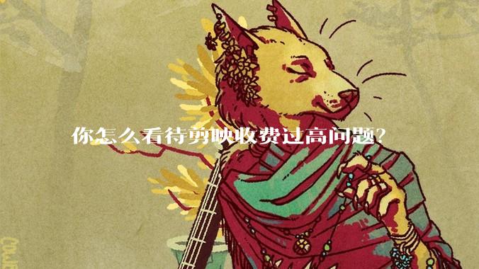 你怎么看待剪映收费过高问题？