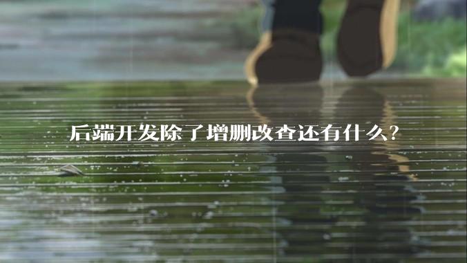 后端开发除了增删改查还有什么？