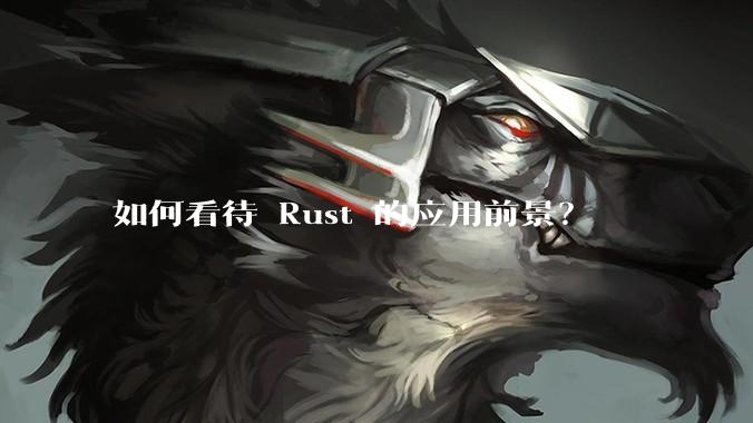 如何看待 Rust 的应用前景？