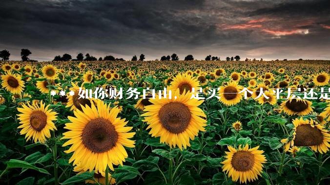 ***如你财务自由，是买一个大平层还是买一个大别墅？