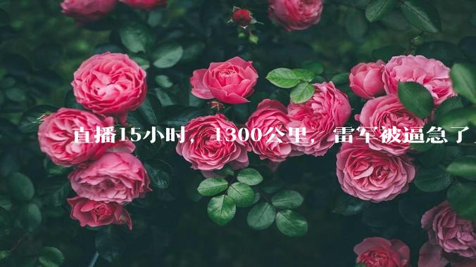直播15小时，1300公里，雷军被逼急了_小米_营销_的测试
