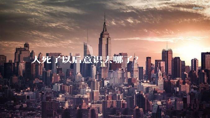 人死了以后意识去哪了？