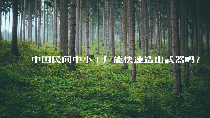 中国民间中小工厂能快速造出武器吗？
