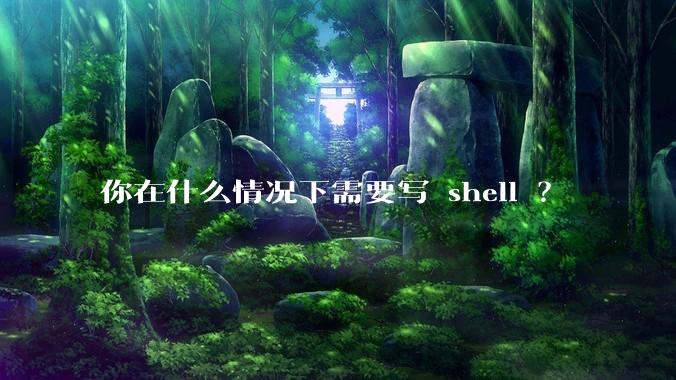 你在什么情况下需要写 shell ？