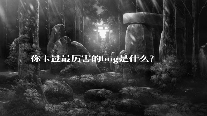 你卡过最厉害的bug是什么？