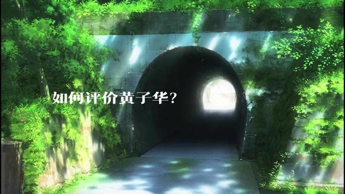 如何评价黄子华？