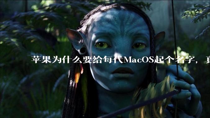 苹果为什么要给每代MacOS起个名字，真以为人们记得住分得清吗？