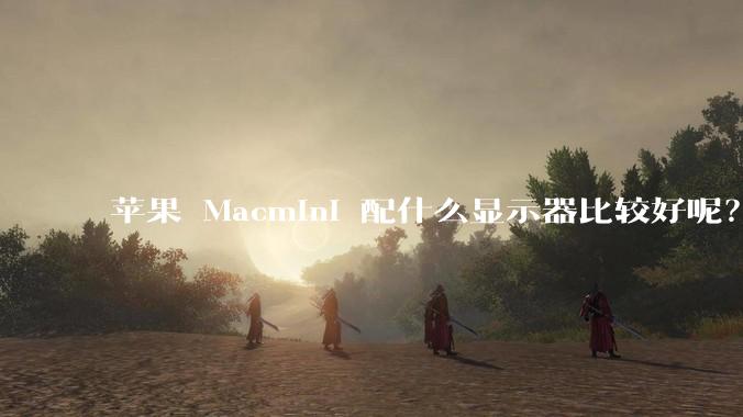 苹果 Macmini 配什么显示器比较好呢？为什么呢？