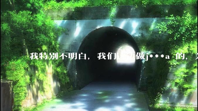 我特别不明白，我们这边做j***a 的，为什么要用windows 做server？